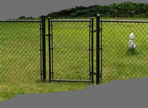 colored chain link fence